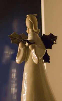 Window Angel