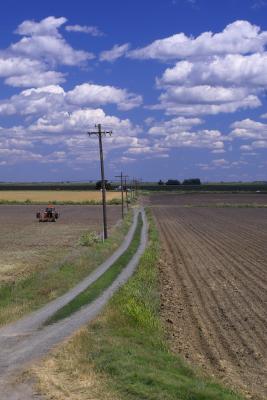 tyler island farming