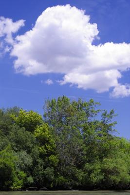 g4/93/139493/3/61006698.IMG04590cloudbest.jpg