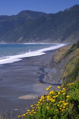 black sand beach,  shelter cove