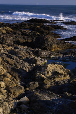 shoreline, shelter cove