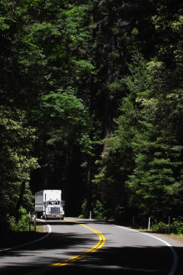 trucks on the redwood highway