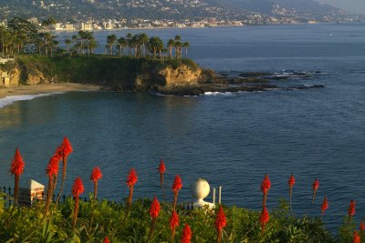 laguna_beach