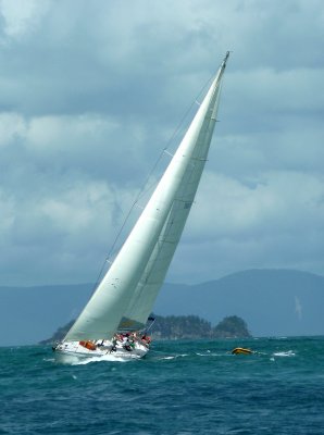 P1010438-2.jpg