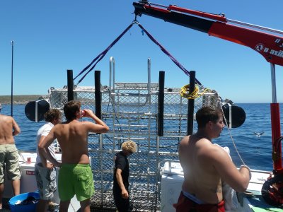 P1020922-2.jpg