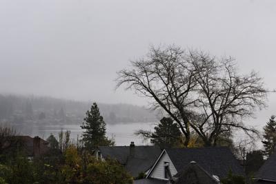 View05-11-13.jpg