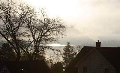 View05-11-18 am.jpg