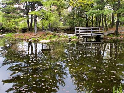 Pond-Gazebo-2.jpg