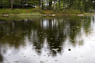 Raindrops-on-the-pond.jpg