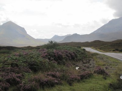 IMG_3640.JPG