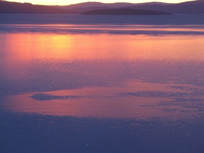 IMG_3802.JPG