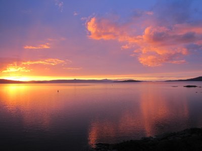 IMG_3785.JPG