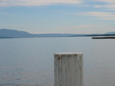 IMG_1261.JPG