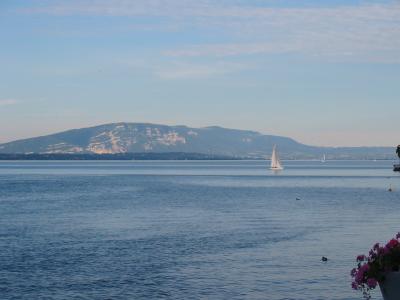 IMG_1272.JPG
