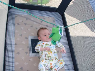 Loves his froggy