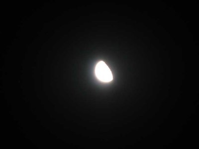 1/2 Moon