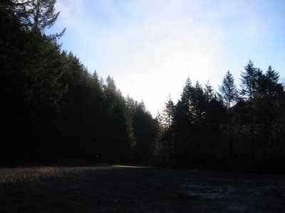 Sun's coming to us