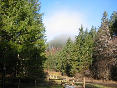 Fog still burning off