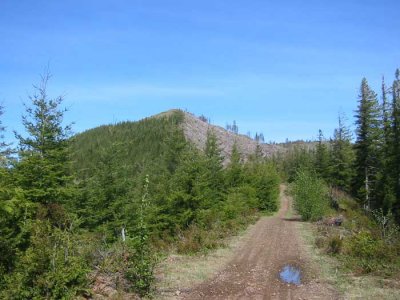 Looking at Triangulation Point