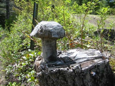 Nice shroom...lol