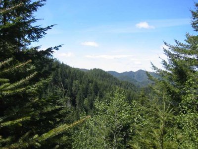 View from the road