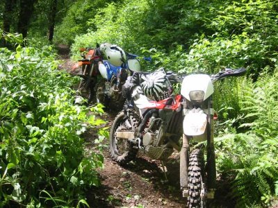 Bikes on Mongo's