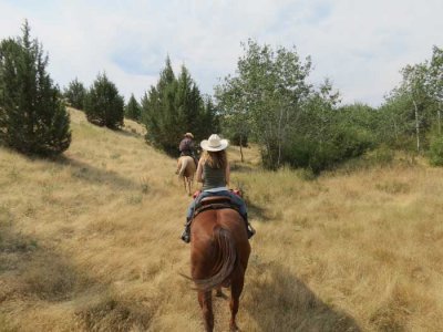 On the trail