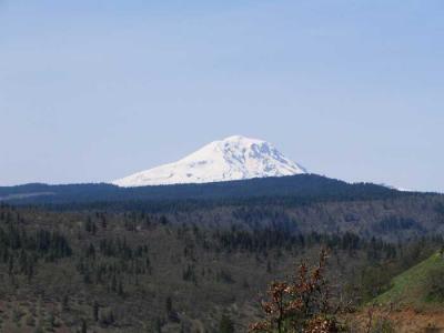 mt-adams.jpg