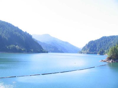 cougar-res-pano2.jpg