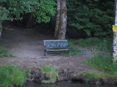 lonely-bench.jpg