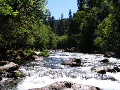 north-fork3.jpg