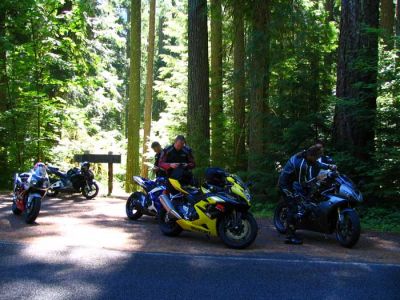 stopped-on-aufderheide2.jpg