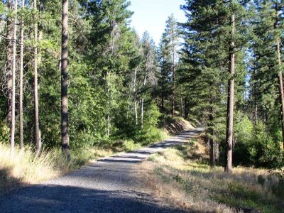 cabin-gravel-road.jpg