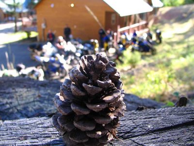 cabin-pine-cone2.jpg