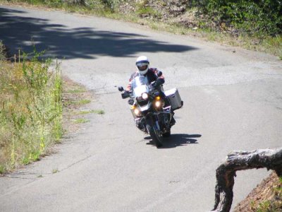 z1-blewitt.jpg