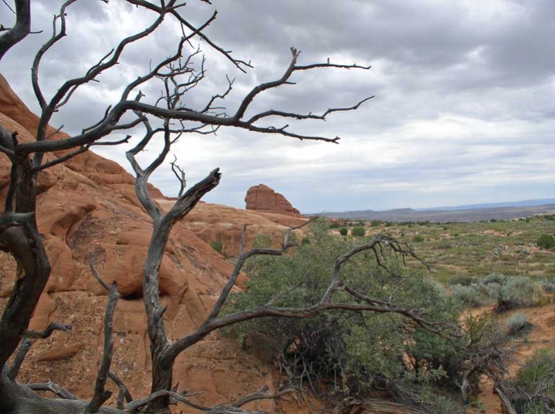 Arches National Park