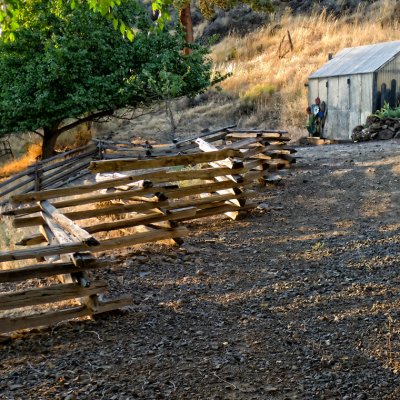 Fence and shed