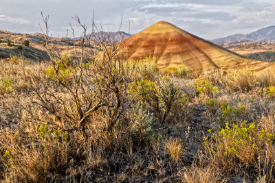 Voila! A painted hill