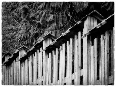 Heavy duty fence with evergreens