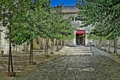 Avignon, La Chartreuse