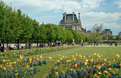Louvre and Spring Flowers