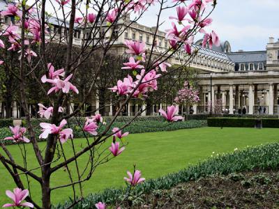 Palais Royal Garden