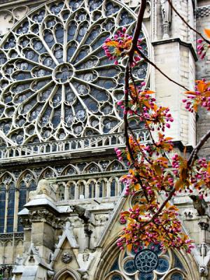 Notre Dame III: Rose Window