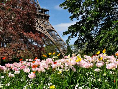 Eiffel Tower Lost in the Flowers