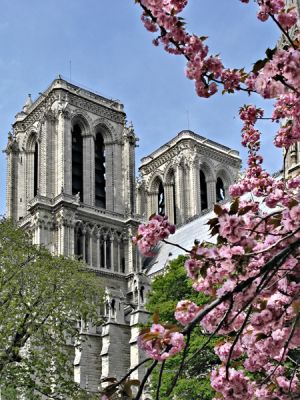 Notre Dame IV: Another Spring View