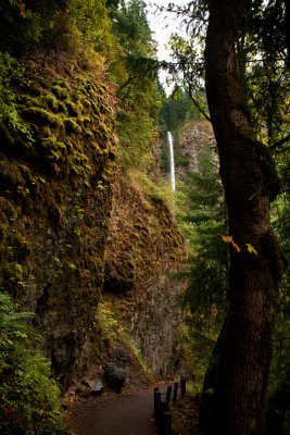Columbia River Gorge 024.jpg