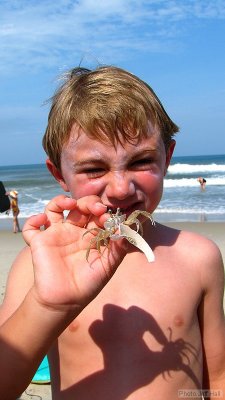 img_2071_std.jpg