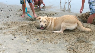img_2089_std.jpg