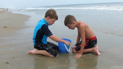 img_2093_std.jpg