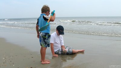 img_2096_std.jpg